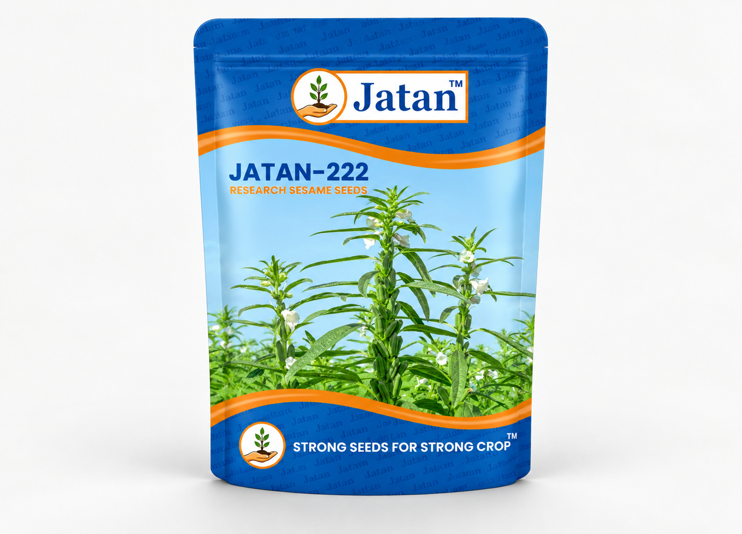 6759707613JATAN - 222.png